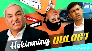 Shapaloq - Hokimning qulog'i (anons)
