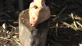 Шашка с Елманью от мастера "ИЗ"