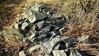 Water erosion in farm land.