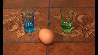 Magic Jumping Egg