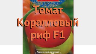 Томат обыкновенный Коралловый риф F1 ? обзор: как сажать, семена томата Коралловый риф F1