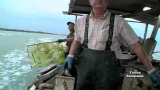 У США взялися за збереження затоки Чесапік