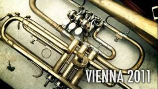 Vienna Test Comp 1