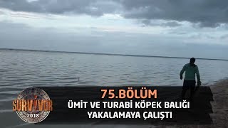 Ümit ve Turabi köpek balığı yakalamaya çalıştı | 75. Bölüm | Survivor