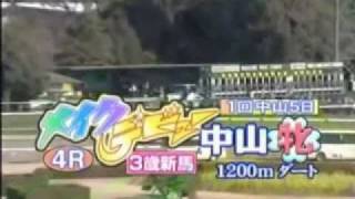 草野仁の競馬実況