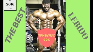 КУПИТЬ ТРИБУЛУС 90%