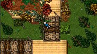 Combo sd tibia amera