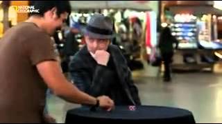 Игра о шарике / Движение - жизнь / Игры разума / National Geographic