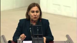 07.03.2013 Genel Kurul Konuşması Devamı - Sena Kaleli