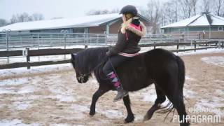 PonyParkPadenstedt//Februar 2017