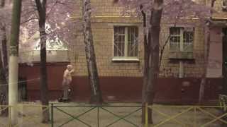 Утренняя гимнастика. Прикол, снятый навигатором.