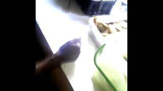Ngintip cewe pipis 20 november