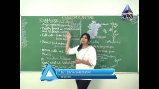 Maharashtra State Board 11 Biology | Kingdom Plantae | Episode 02
