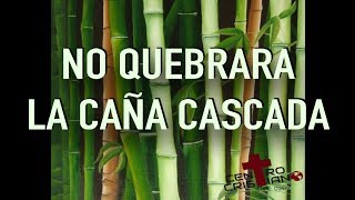 No Quebrará la Caña Cascada - Karina Guidi