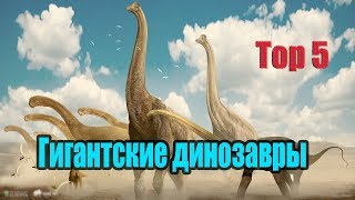 САМЫЕ БОЛЬШИЕ ДИНОЗАВРЫ  ТОР 5