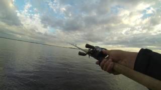 DAIWA Z2020