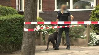 Een reportage van verslaggever Sanne Teijn