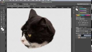 FOTOMANIPULASYON Photoshop Dersleri