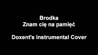 Monika Brodka - Znam cię na pamięć - Doxent's Instrumental Cover