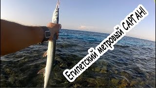 Рыбалка на Красном море в Египте с берега. Часть 3 / Fishing on THE Red sea in Egypt. Part 3