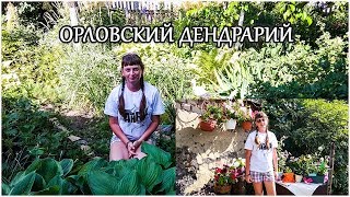 В гостях у тети. Орловский дендрарий.   Жизнь в деревне.