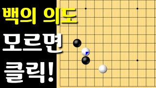 바둑배우기 화점정석 중 백의 변칙수 의미