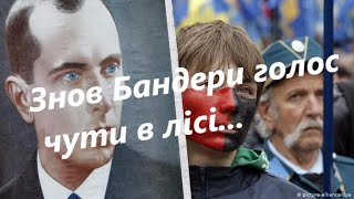 Знов Бандери голос чути в лісі...