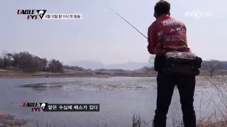 신규 프로그램 - 이글아이