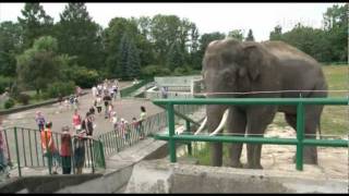 Śląskie Zoo - nowe inwestycje