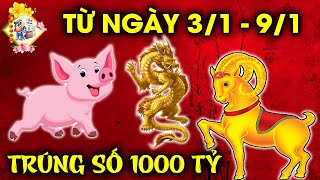 GIỚI TỬ VI CHẤN ĐỘNG, TOP 3 CON GIÁP, ĐANG KHỔ VÌ TIỀN, BẤT NGỜ ĐƯỢC LỘC, CẢI VẬN ĐẠI GIA.