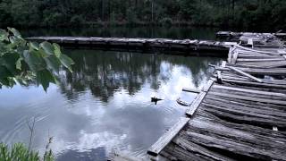 Panasonic AG-HMC150 Test Footage Rough Cut