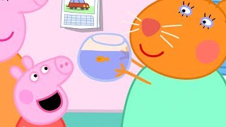 Peppa Pig en Español Episodios completos | Peppa Pig a al veterinario | Pepa la cerdita