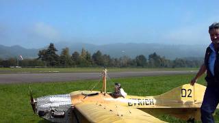 Luca Mueller show of T-Rex 550 at airshow Hausen CH