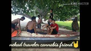 Nekad traveler cannabis friend ?