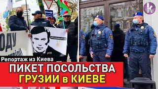 В поддержку Михо! В Киеве требовали вступиться за Саакашвили