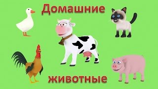 Мультики для малышей. Презентации для детей 3D: Домашние животные. Голоса животных
