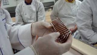Finishing Chocolate Laces