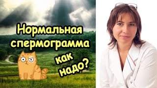 Показатели нормальной спермограммы