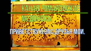 Эликсир здоровья и долголетия.