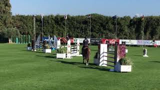 (SOLD) Corelli de mies - 7yo Sunshine Tour 2018