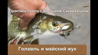 Голавль и майский жук : Практика ловли с Валерием Сикиржицким