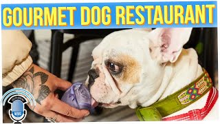 Fine Dining Restaurant for Dogs is Open in San Francisco