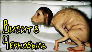 Визит в Чернобыль (Страшная История)