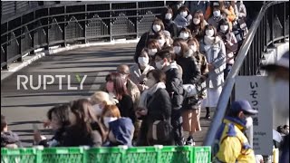Panda fever runs high at Tokyo zoo as lucky visitors line up for twins debut