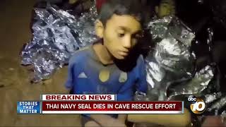 Thai Navy SEAL dies in cave rescue effort