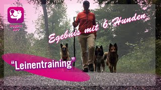 23. Teil; Spaziergang spannend gestalten!