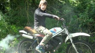 MT50 and PW50 in the woods 1 of 2