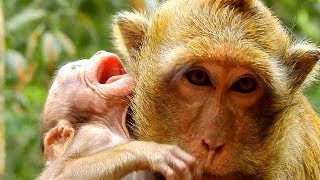 Lola Is kidnapped And Mom Fail To Save | Lola Cry Very Scare