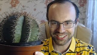 Я РОБОТ? СТАРЫЙ ИЛИ МУДРЫЙ? КАК ВЫУЧИТЬ АНГЛИЙСКИЙ ЯЗЫК за 10 МИНУТ В ДЕНЬ - УРОКИ АНГЛИЙСКОГО ЯЗЫКА