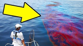 10 САМЫХ ГРЯЗНЫХ МОРЕЙ!